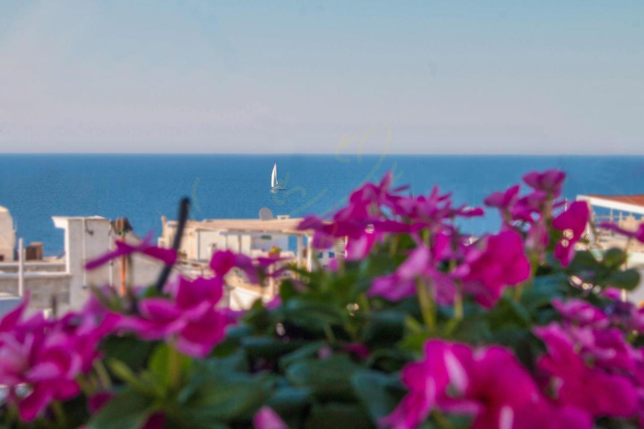 Td Casa Reina In The Historic Center With Terrace Apartment Polignano a Mare Exterior photo